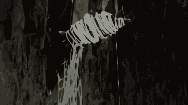 Kumo Desu Ga Nani Ka So Im A Spider So What GIF