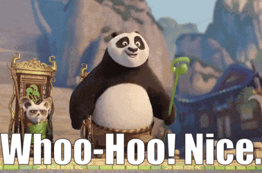 Kung Fu Panda 4 Po GIF