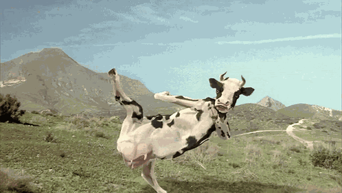 Kung Pow Enter The Fist Moo Nieu GIF