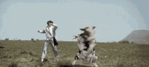 Kung Pow Kung Pow Enter The Fist GIF