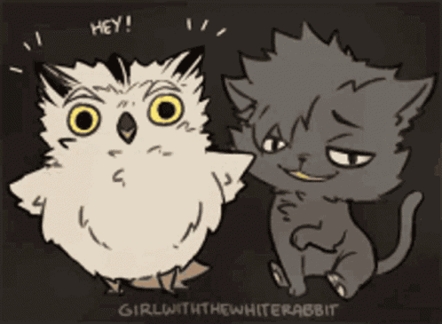 Kuroo Bokuto GIF