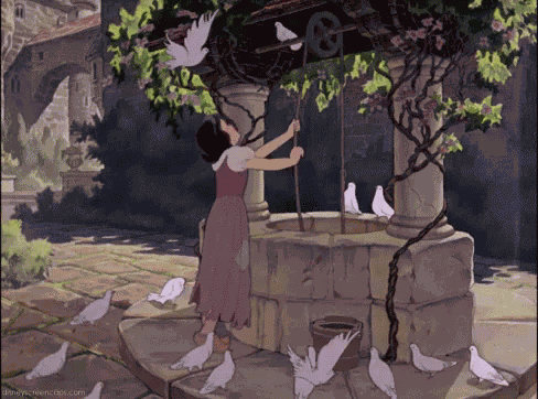 Kuyu GIF