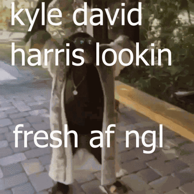 Kyle David GIF