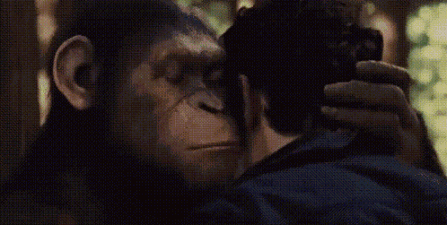 Kylesly GIF
