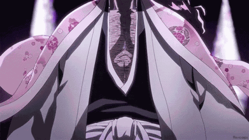 Kyoraku Shunsui Head Captain GIF