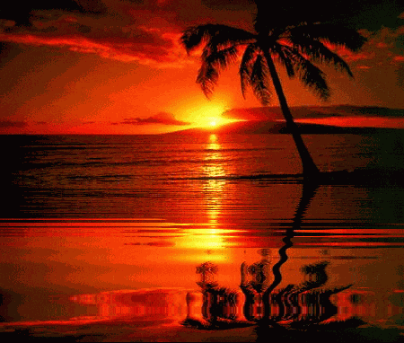 L Love You GIF