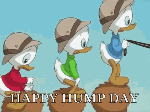 La Bande A Piscou Ducktales GIF
