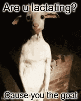 Lactating Goat GIF