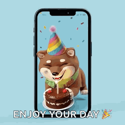 Lads Shiba Inu GIF