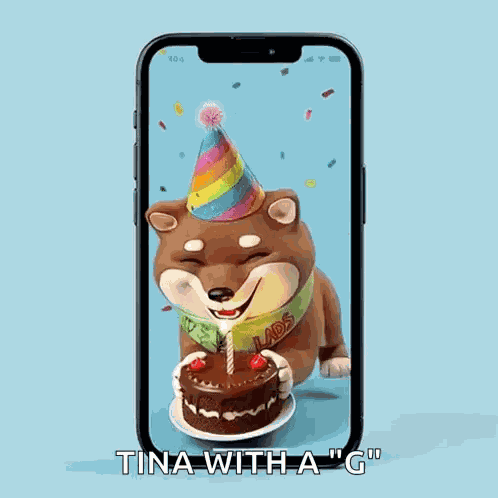 Lads Shiba Inu GIF