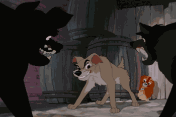 Lady And The Tramp Feisty GIF