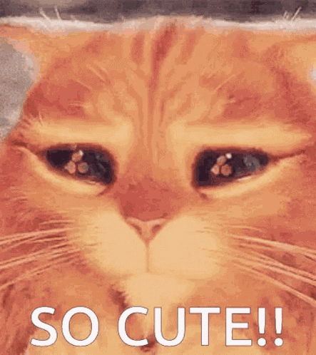 Lady Bug GIF
