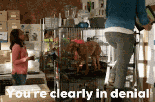 Lafb Kevinmcgarry GIF