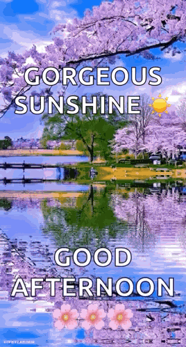 Lago Lake GIF