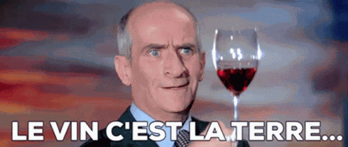 Laile Ou La Cuisse De Funes GIF