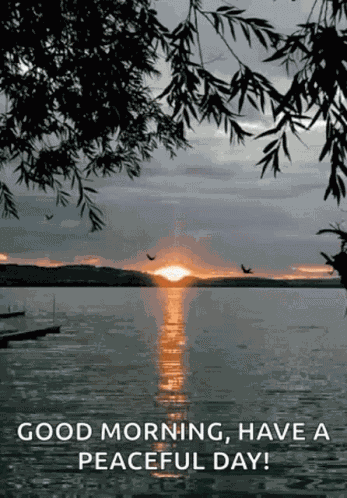 Lake Water GIF