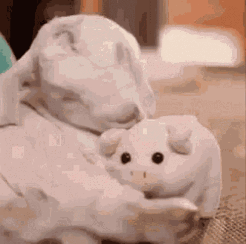 Lamb Love GIF