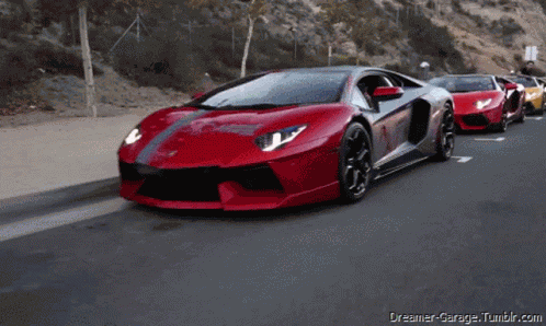 Lamborghini Cars GIF