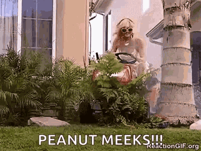 Landscaping Trying To Landscape GIF