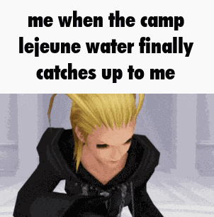 Larxene Kingdom Hearts GIF