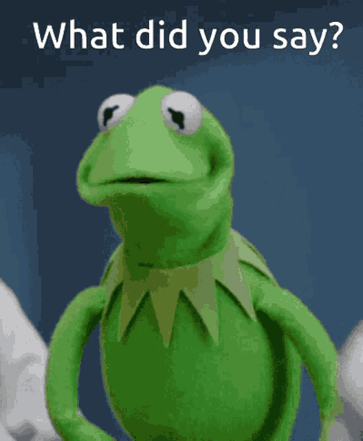 Last Day What Did You Say GIF