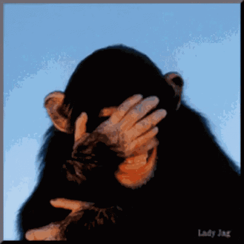 Laugh Lol GIF