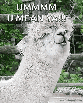 Laughing Llama GIF