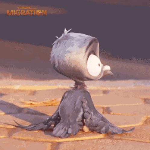 Laughing Pigeon GIF