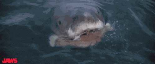 Launch Attack Boat GIF