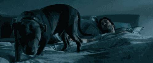Lay Down Tired GIF
