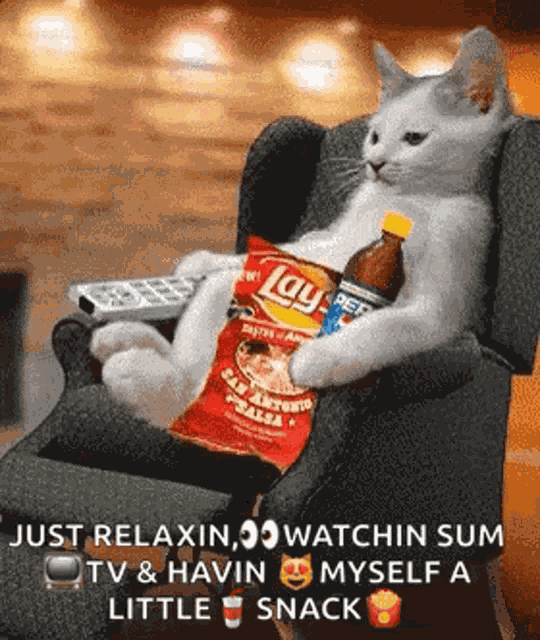 Lazy Cat GIF