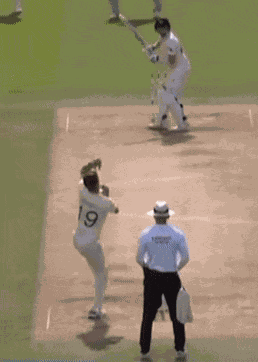 Lbw Funny Steve Smith GIF