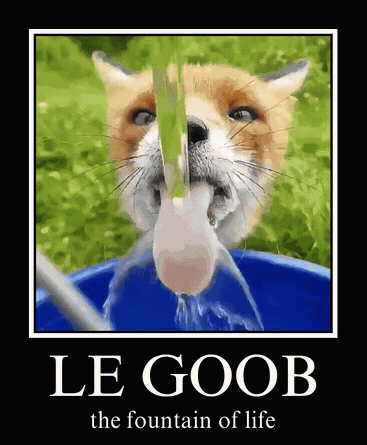 Le Goob Drink GIF