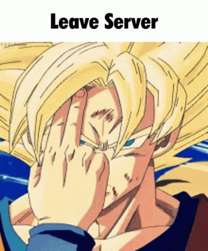 Leave Server Dragon Ball GIF