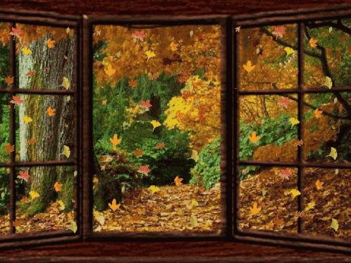 Leaves Autumn GIF