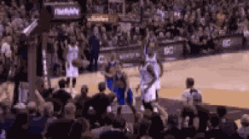 Lebron Block GIF