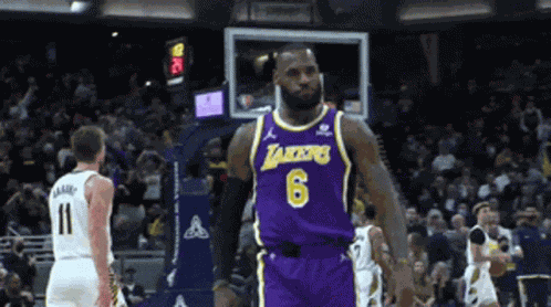 Lebron James Basket Ball GIF