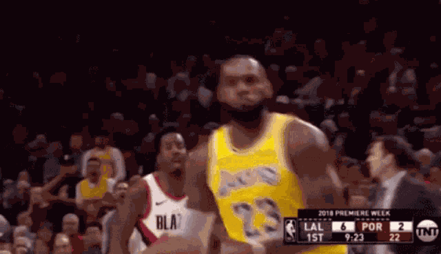Lebron James GIF