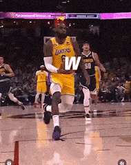 Lebron James Bron GIF