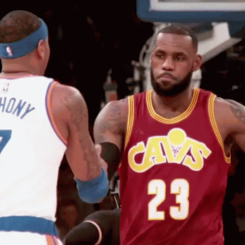 Lebron James Hug GIF