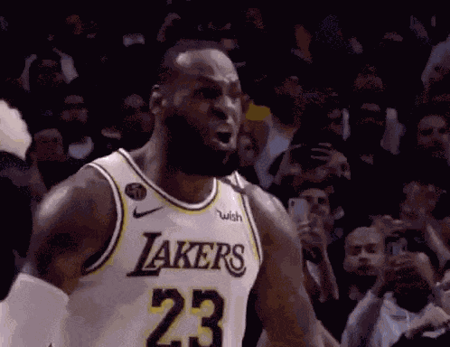 Lebron James Lakers GIF
