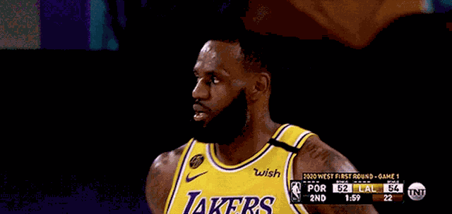 Lebron James Los Angeles Lakers GIF