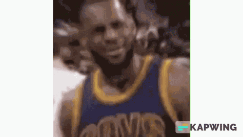 Lebron James GIF