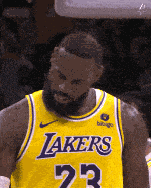Lebron Lebron Head GIF