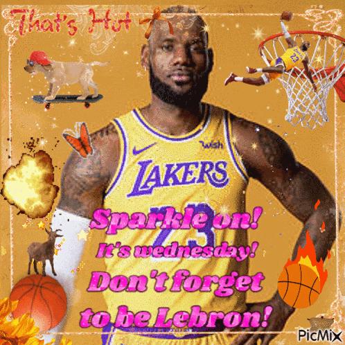 Lebron Lebron James GIF