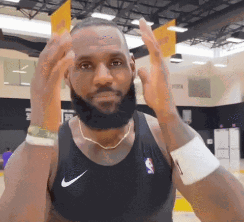 Lebron Lebron James GIF
