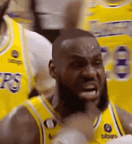 Lebron Lebronjames GIF