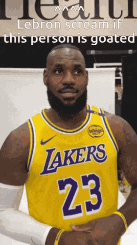 Lebron GIF