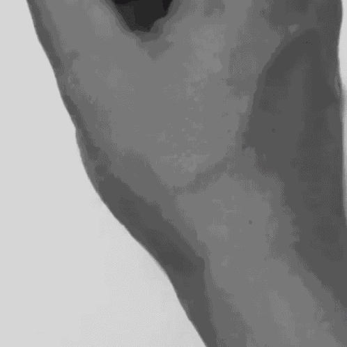 Legalize Drawing GIF