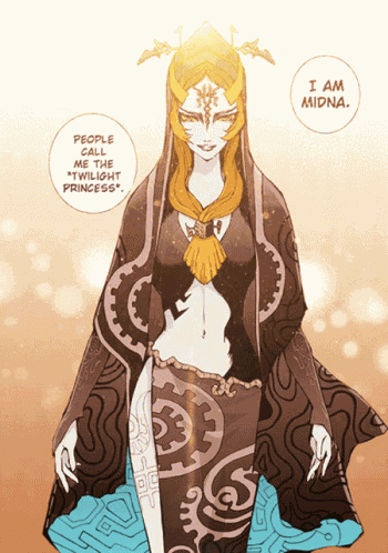 Legend Of Zelda Twilight Princess GIF